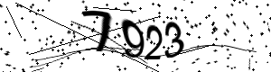 Bestätigungs-Code