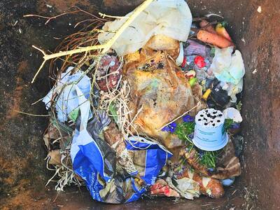 Plastik im Bioabfall