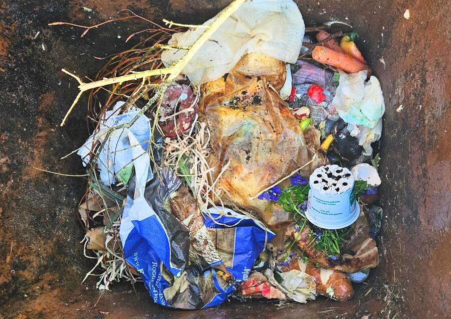 Plastik im Bioabfall