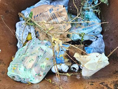Plastiktüten im Bioabfall