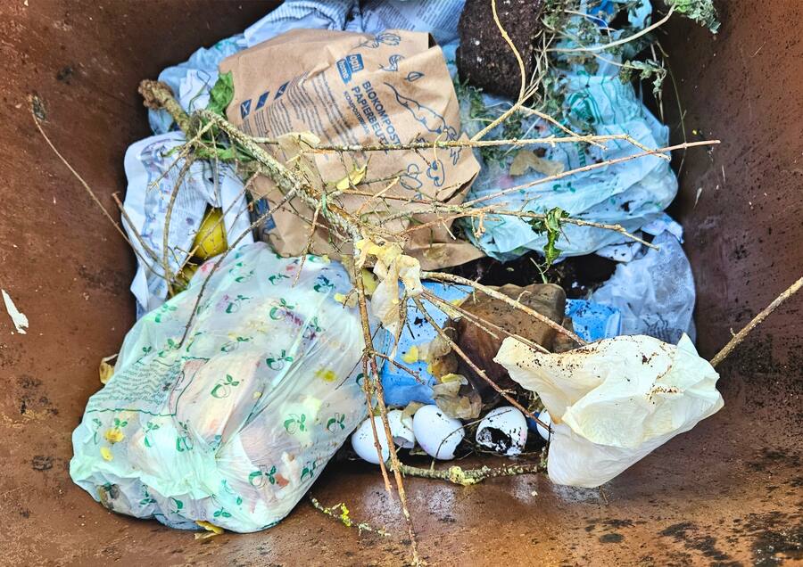 Plastiktüten im Bioabfall